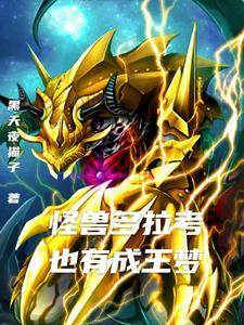 奥特曼老大