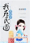 我在民国卖军火