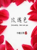 玫瑰色的人生是什么意思