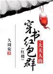 大夫人