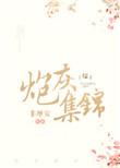 炮灰集锦综作者非摩安txt