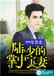 陆少宠妻99度完结