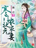 寒门状元农家妻全文免费观看