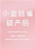 小金丝雀破产之后