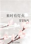 来时有灯火林疆的结局