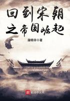 回到宋回到宋朝之帝国崛起