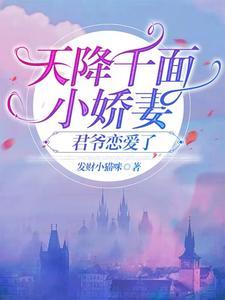 天降小妻霸道宠免费阅读全文第80页