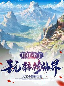 开挂玩家不需要青春